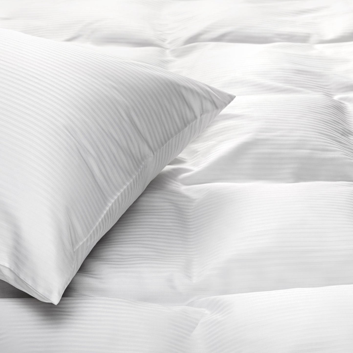 Chamber Pillow – Firm support and softness