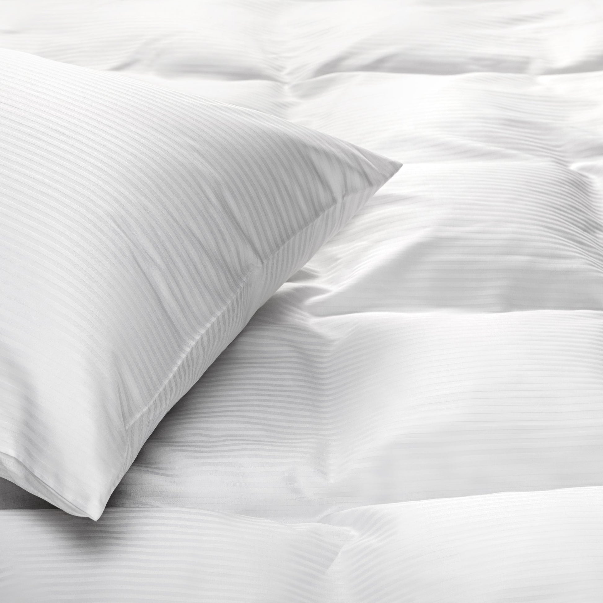White down Pillow on white down comforter